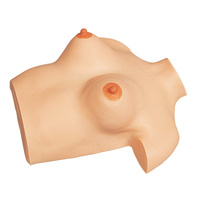 Sakamoto Mamma Simulator Breast Massage Model