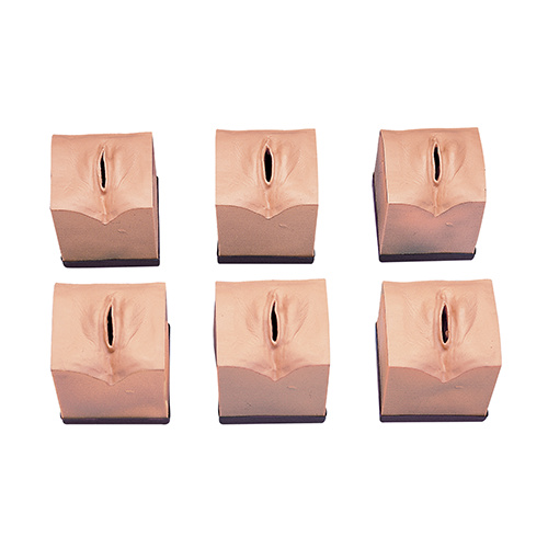 Cervical Dilatation/Effacement Simulator Set| Life/form Cervical