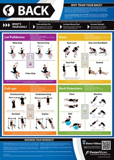 Back Workout Chart Hd