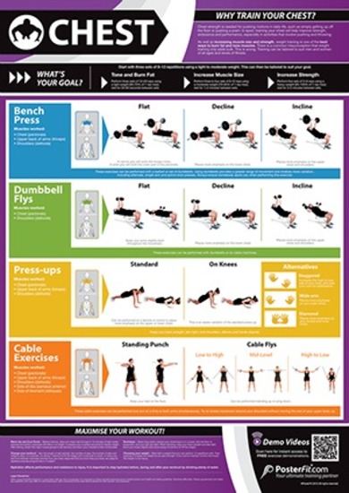 Chest Chart Gym