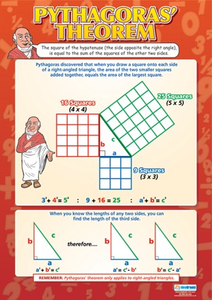 math school poster pythagoras thereom anatomy chart