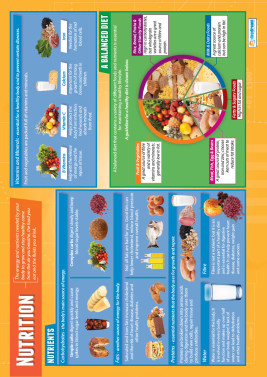 NUTRITION POSTER