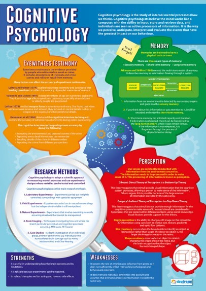 Psychology School Poster - Cognitive Psychology