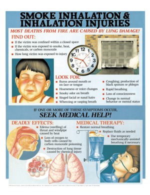 Smoke Inhalation & Inhalation Injuries - Anatomical Chart Co