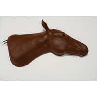 Equine Vascular Access Simulator