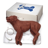 Canine CPR Simulator - CasPeR The CPR Dog Manikin