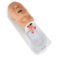 Simulaids® Economy Adult Airway Management Trainer with Board