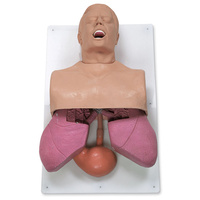 Adult Airway Management Trainer with Board
