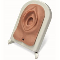Episiotomy and Suturing Simulator