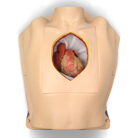 Beating Heart in Thorax