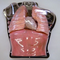 Clear Thorax