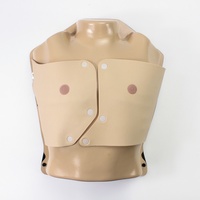 Thorax with Movable Ribs, Arms Up