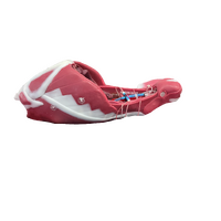 Canine Abdominal Surgical Model