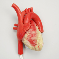 CABG Beating Heart