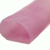 Esophagus