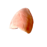 SynDaver Silicone Lung Pair