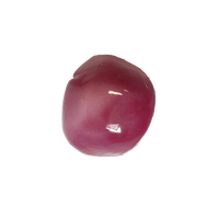 SynDaver Silicone Spleen