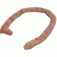 Large Intestine