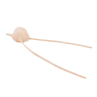 SynDaver SynTissue Urinary Bladder Female