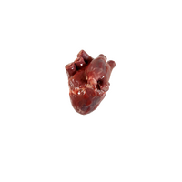 SynDaver Silicone Organ Heart Standard