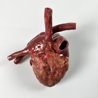 SynDaver Standard Heart Silicone External Reference