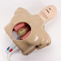 Perfusion Beating Heart Trainer (#1362)