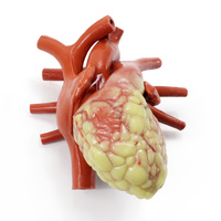 Cannulatable Larger Beating Heart