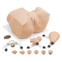 EVA Gynaecological Training Manikin