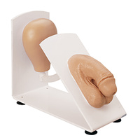 Male Catheterization Trainer