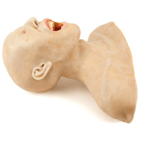 SynDaver Adult Airway Trainer