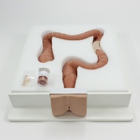 Colonoscopy Trainer