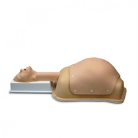 Abdominal Surgery Trainer- AST