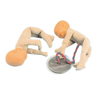 Foetal Doll Model for Nursing Education