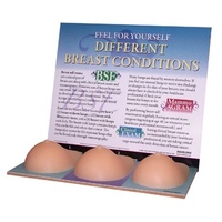 Multi-Type BSE Model - Beige