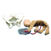 Birth Model Set 