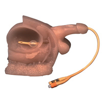 Male Catheter Model
