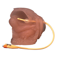 Female Catheter Model