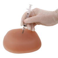 Injection Teaching Model