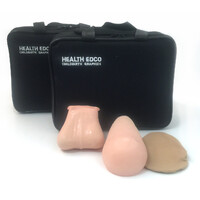 Teen BSE/TSE Model Kit, Beige