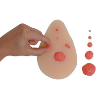 Interchangeable Nodules BSE Model