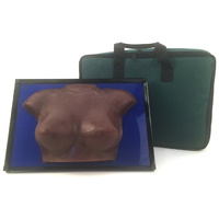 Group BSE Model, Brown