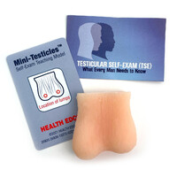 Mini-Testicles Model, Beige