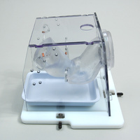 Endometrial Ablation Trainer