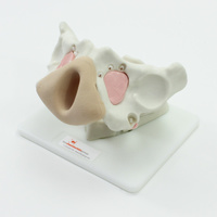 Pelvic Mesh Fixation Trainer