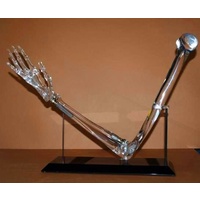 Acrylic Arm