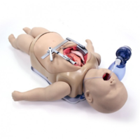 Surgical Sam for CT Training