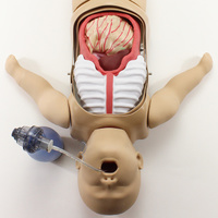 Surgical Sam for General Surgery Training