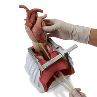 Sam Pediatric Cardiothoracic Module