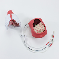Surgical Sam - General Surgery Module