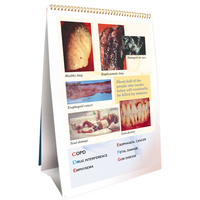 The ABCs of Smoking Flip Chart